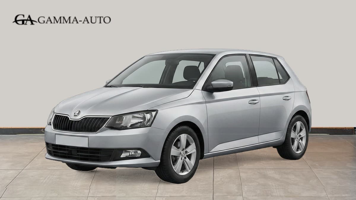 Skoda Fabia 1.0 Mpi Evo Selection 80cv