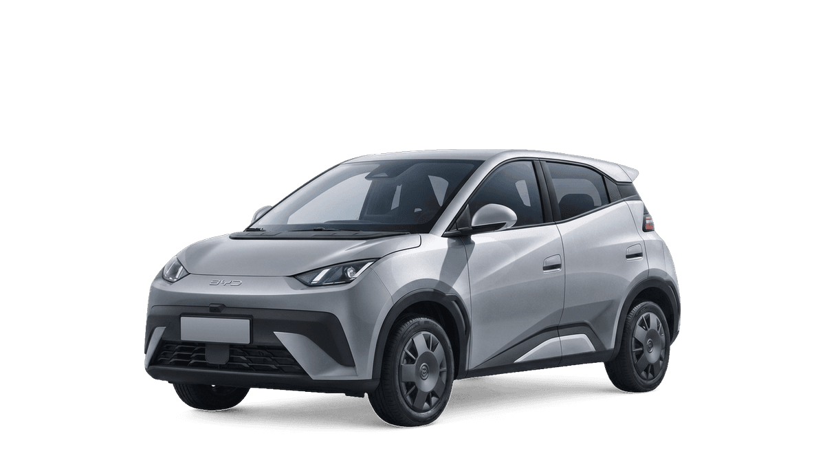 Byd Dolphin Surf - foto 1