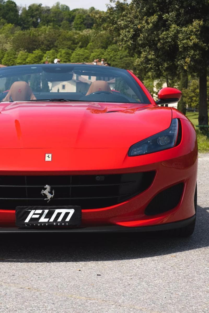 Ferrari Portofino 3.9