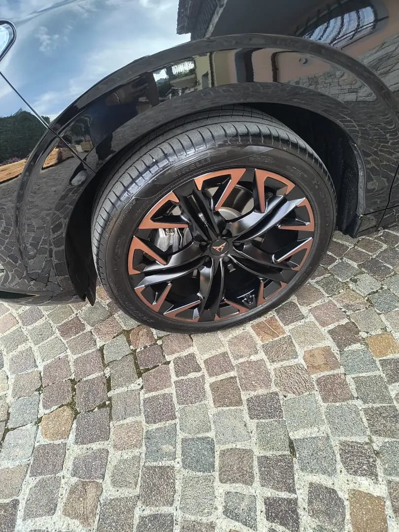 Cupra Terramar - foto 13