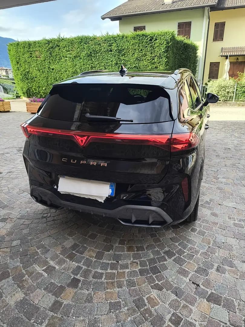Cupra Terramar - foto 4